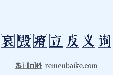 哀毁瘠立反义词是什么意思的图片